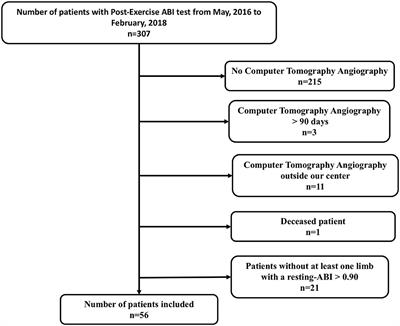 Combination of Exercise Testing Criteria to Diagnose Lower Extremity Peripheral Artery Disease